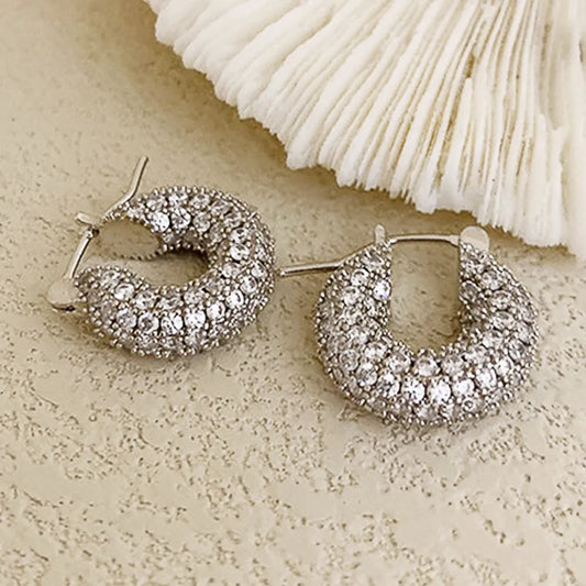 Treasure's Zircon Circle Earrings
